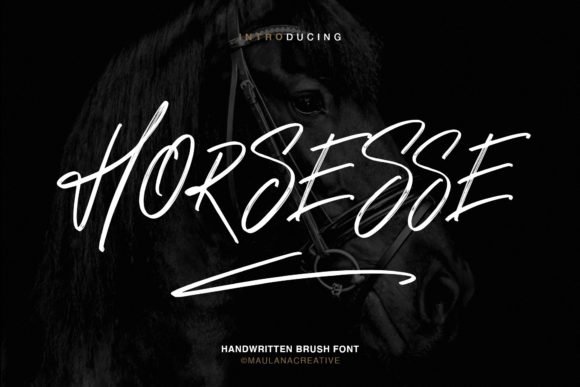 Horsesse Display Font Made My Small Business Brand Instantly Recognizable