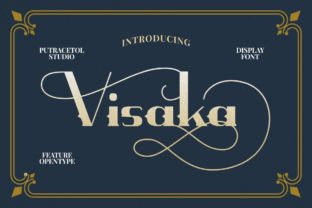 Visaka: A Bold Display Font for Web Design
