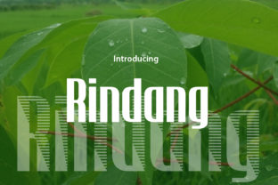 Why Rindang Is the Fresh Display Font Your Brand Identity Has Been Waiting For